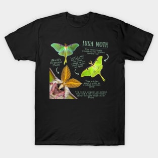 Animal Facts - Luna Moth T-Shirt